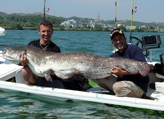 Großer Erfolg: 1. Black-Cat Trophy