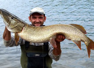 28-Pfünder aus dem Biggesee