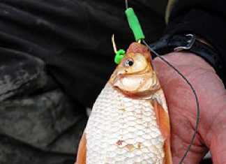 Katalonien: Nachtangeln und Köfis erlaubt