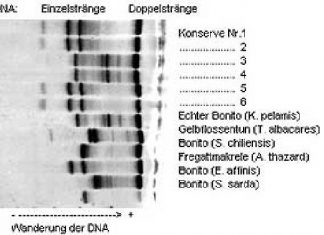 Größere Klarheit bei Fischerei-Erzeugnissen