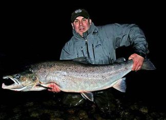 Lachs von 17,3 Kilo aus der Gaula