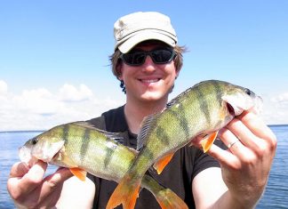 Barsche trotz Wetterwechsel