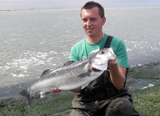 Baltrum: Schwerster Wolfsbarsch der Saison!