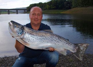 Große Seeforelle beim Raubfischtag