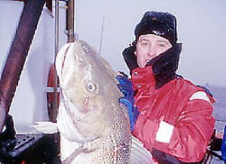 Schweden: 23. Dorsch-Festival im Öresund