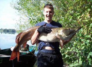 Hecht-Gigant von 1,40 Metern!