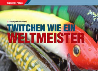 DER RAUBFISCH 6/2011