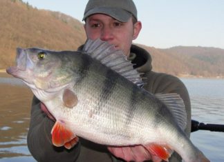 Edersee: Angelwochenende der Superlative