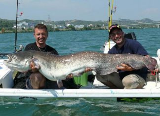Zweite Black Cat Trophy in Frankreich