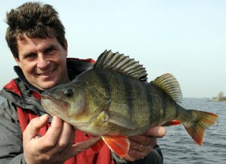 Uli Beyer bei „mieten, kaufen, wohnen“