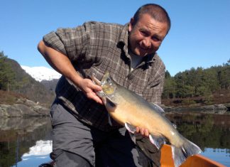 Saiblinge zum Saisonstart