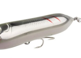 Neue Wolfsbarsch-Verführer