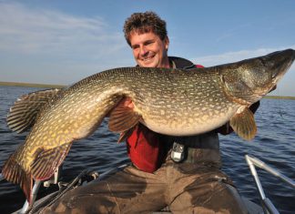 Uli Beyer neuer Berater bei Hardy & Greys