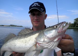 Lesertestauswertung „D.A.M. Quick A-Head 200 Baitcast“