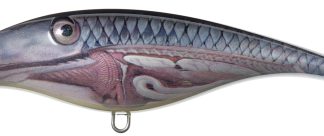 Zuwachs in der Zalt-Familie