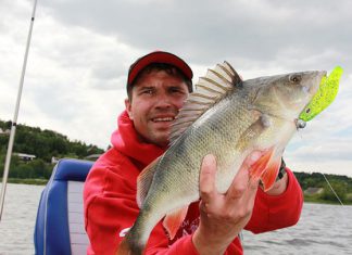 Battle-Shad räumt ab