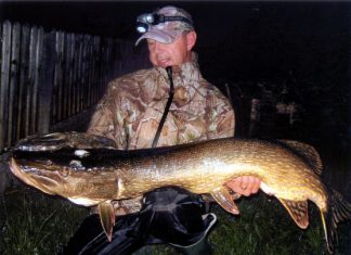 Vierzigpfünder aus Österreich