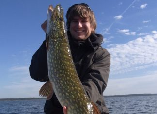 Goldener Hecht-Herbst