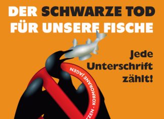 1,6 Millionen Kormorane sind zu viel!