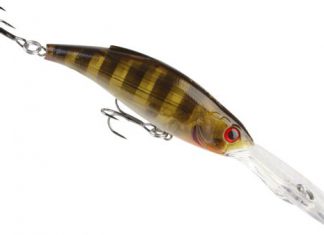 Tieftaucher, nicht nur für Schleppfischer