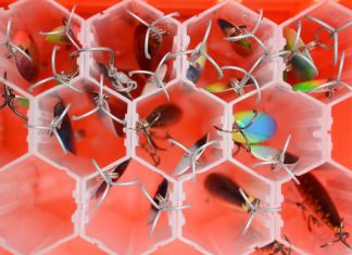 Platzwunder für Kunstköder