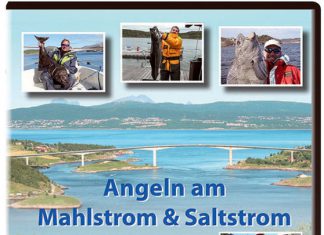 DVD-Tipp: „Angeln am Mahlstrom & Saltstrom“
