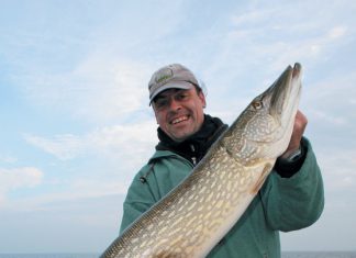 Mission Meterhecht (1)