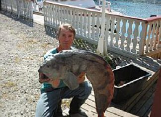 Norwegen: Das Ungetüm vom Stavfjord