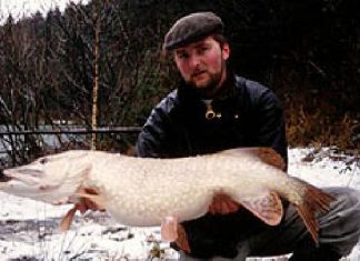 Verstärkung im Online-Team