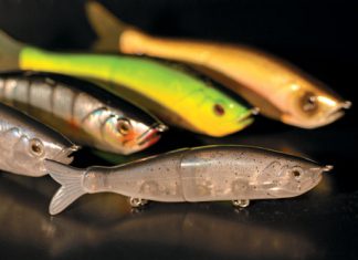 Trendsetter – Kunstköder- porträt: Jackson Real Jerk