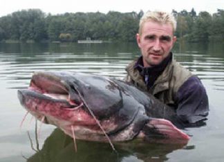 Königsee: 196 Pfund Wels