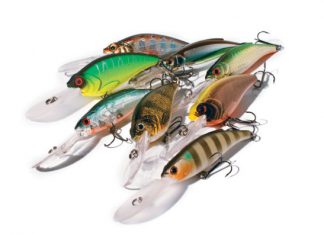 Die Abschlepper – Kunstköderporträt: Cormoran Hisaka X-Deep Shad und Belly Diver