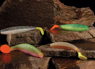 Gummis für Große – Kunstköderporträt: Fox Rage Pro Shad Firetails