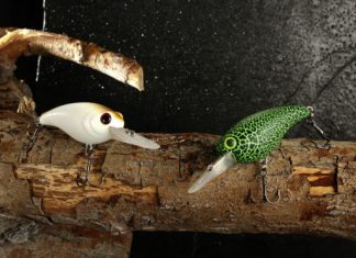 Klein und Gemein – Kunstköderporträt: Sänger Doyo-Nomin 60