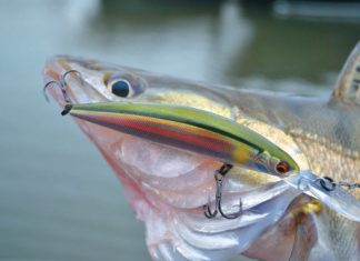 Kunstköderporträt: Daiwa-Tounament-Wobbler