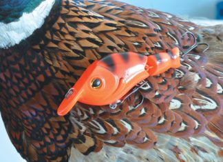 Rückkehr des Häuptlings – Kunstköderporträt: D.A.M. Indianer-Wobbler