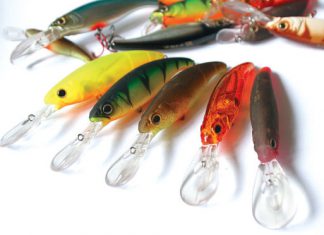 Schick, schicker, Slick Stick. – Kunstköderporträt: Fox Slick Stick