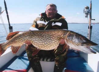 32-Pfund-Hecht auf Gummifisch