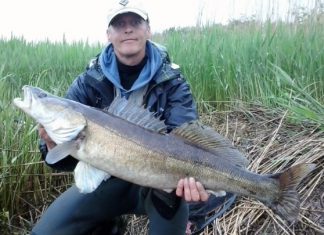 Kapitale zu Saisonbeginn