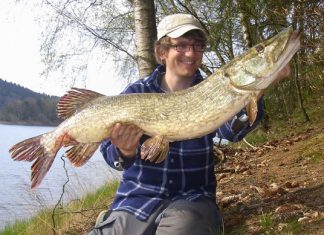 Gute Raubfischfänge im Sauerland