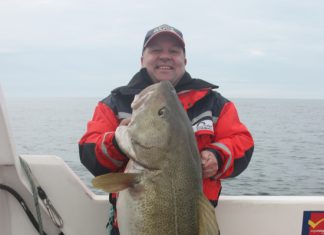 Island-Festival 2013 – über 60 Angler, 20 Boote und jede Menge Fisch