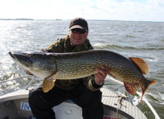 Erstes Yasei Boddenmasters