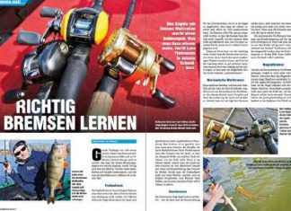 Richtig bremsen lernen