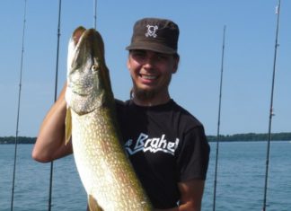 Großhecht bei Sonnenschein