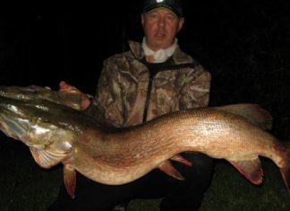 1,41-Meter-Hecht auf Castaic-Swimbait