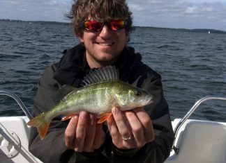 Barschjagd im August