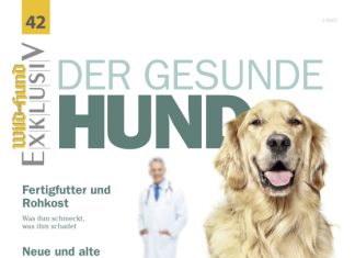 Der gesunde Hund