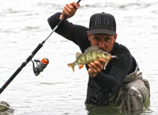 Österreich: Verstärkung im Shimano-Team