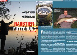 DER RAUBFISCH 6/2013