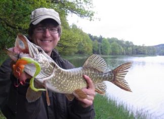 Talsperren vom Ufer aus